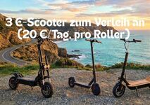 Wohnung in Halberstadt Bild 2