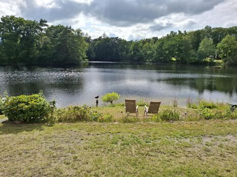 Ferienhäuschen blauer See Bild 5