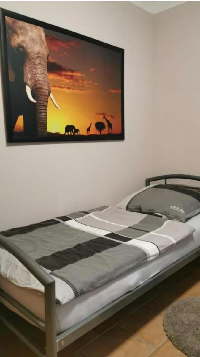 Picture 4