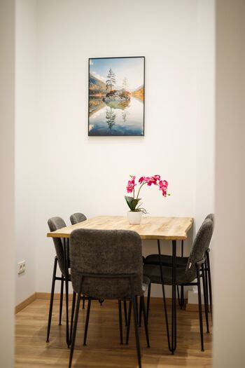 JOSEF APARTMENTS | WIESBADEN | ELTVILLE | 7+ Appartements Zdjęcie 4