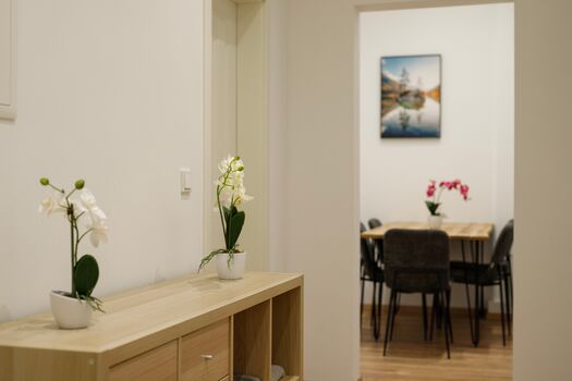 JOSEF APARTMENTS | WIESBADEN | ELTVILLE | 7+ Appartements Zdjęcie 3
