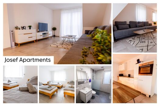 JOSEF APARTMENTS | WIESBADEN | ELTVILLE AM RHEIN | 5+ Picture 4