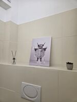 Wohnung in Kastellaun Bild 19