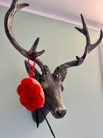 Schwarzwaldliebe Ferienwohung Bild 5