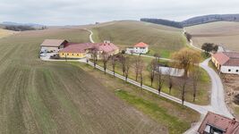 Guestroom in Neulengbach Picture 17