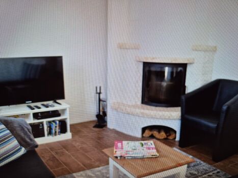 Haus in Ribnitz Damgarten Bild 5