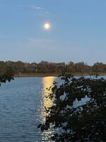 Wohnung Kleinsteuber Bild 19