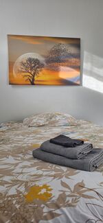 Gästezimmer / WG in Radolfzell am Bodensee Bild 22