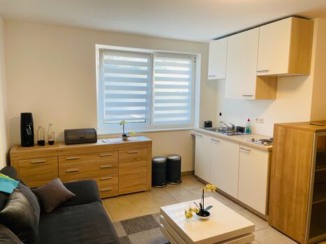 Souterrain-Appartement Neumann-Polat Bild 2