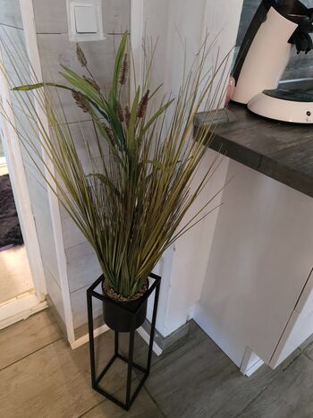 Ferienhaus Leahs Muschelsand Kronprinzenkoog Bild 5