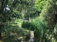 Wohnung in Dillenburg Bild 9