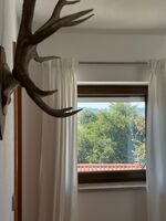 Hof am Berg Bild 16