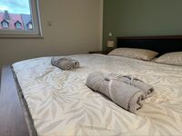 Luxus - Parkplätze - zentral - bis 50 Personen Bild 13