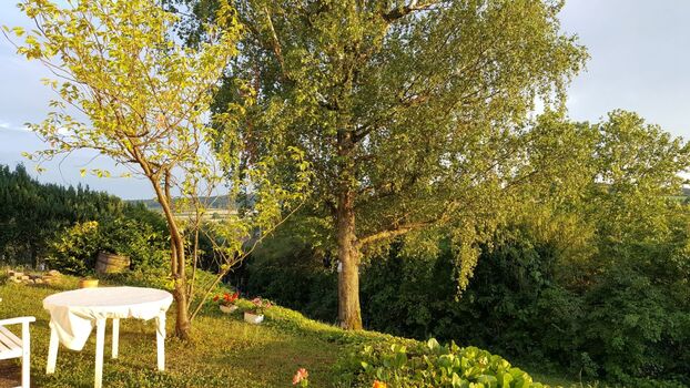 Wohnung Manini-Zeiner