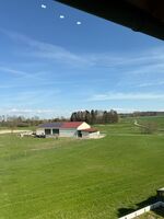 ALSEOZ Apartment Bild 12