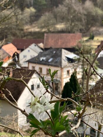 Gästezimmer Yoga-DAYS Zdjęcie 5