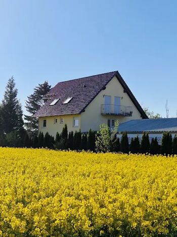Pension Wilhelm Bild 1