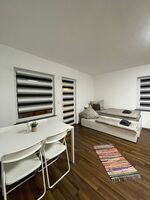 Renovierte Häuser/Wohnungen in Weißenthurm/Umgebung Picture 4