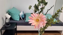 Fischer Appartements - NEU renoviert, Terrasse, zentral Bild 21