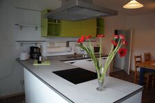 Wohnung Blume Bild 14