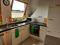 Morten Thams Picture 15