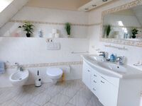 Morten Thams Picture 13