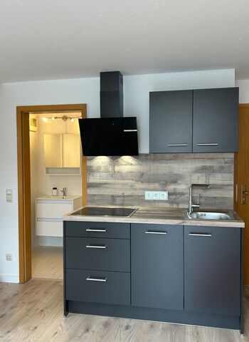 1 Zimmer Wohnung mit Balkon renoviert / möbiliert / Neue Küc