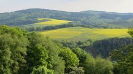 Wohnung Sichert Bild 8