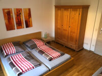 Haus im Grünen Bild 19