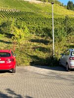 Wohnung in Winningen Bild 13