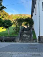 Wohnung in Winningen Bild 14