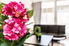 HomeRent in Monheim, Langenfeld und Umgebung Picture 1