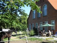 Alter Pferdestall Dreveskirchen (165 m2) 8 Personen Picture 14