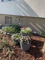 Wohnung Seefried Bild 1