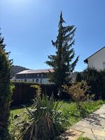 Aussicht - Apartment mit Terrasse 