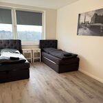 Apartments zentral in Hamburg ! Picture 4