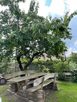 Gästezimmer Bild 13