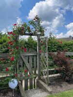 Gästezimmer Bild 18