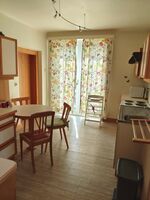 Unterkunft in ruhiger Lage in kostenfreier Parkplatzzone in Haus in Linz Bild 8