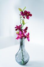 Wohnung Papke Obrázok 14