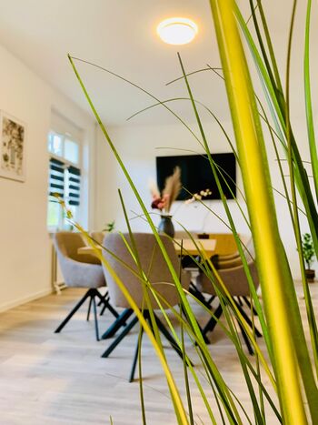 Wohnung Stralsund Picture 4