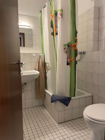 1 Zimmer Apartment Grenze Picture 4