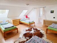 HomeRent in Niederdorfelden, Schöneck, Bad Vilbel uvm. Bild 10