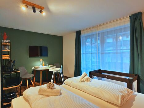 Zwiesel Work and Spa Apartment Bild 2