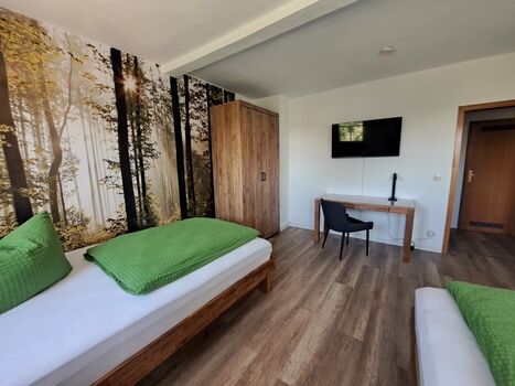Neue Wohnungen 3 Schlafzimmer für 5 P. - XXL Einzelbetten Picture 2