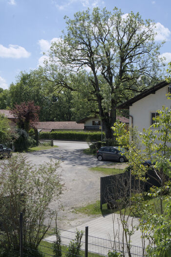 Blick vom Balkon
