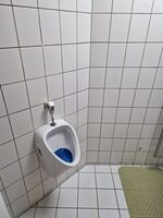 Gästezimmer / WG in Braunschweig Bild 10